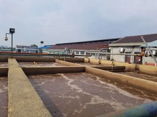 屠宰污水处理设备 屠宰污水处理设备